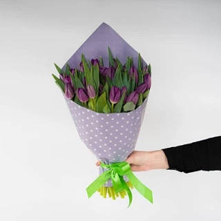31 фиолетовый тюльпан 